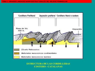ESTRUCTURA DE LAS CORDILLERAS COSTERO - CATALANAS TEMA 3: GRANDES UNIDADES MORFOESTRUCTURALES DEL RELIEVE PENINSULAR 