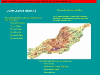 CORDILLERAS BÉTICAS   Dos grandes conjuntos orográficos: La Cordillera Penibética que bordea la costa : Sierra Ronda  Sierra Nevada (Veleta, Mulhacén) Sierra de los Filabres Sierra de Gata La Cordillera Subbética, alineada paralelamente al norte de la primera: Sierra de Grazalema  Sierra Mágina Sierra de Segura  Sierra Cazorla Sierra de la Sagra Sierra de Espuña Entre ambas unidades se intercala la Depresión Intrabética formada por las hoyas de Antequera, Granada, Guadix y Baza. TEMA 3: GRANDES UNIDADES MORFOESTRUCTURALES DEL RELIEVE PENINSULAR 