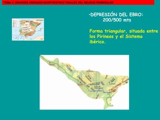 Forma triangular, situada entre los Pirineos y el Sistema ibérico.  DEPRESIÓN DEL EBRO:   200/500 mts TEMA 3: GRANDES UNIDADES MORFOESTRUCTURALES DEL RELIEVE PENINSULAR 
