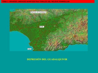 DEPRESIÓN DEL GUADALQUIVIR TEMA 3: GRANDES UNIDADES MORFOESTRUCTURALES DEL RELIEVE PENINSULAR 