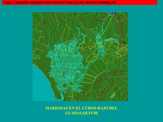 MARISMAS EN EL CURSO BAJO DEL GUADALQUIVIR TEMA 3: GRANDES UNIDADES MORFOESTRUCTURALES DEL RELIEVE PENINSULAR 