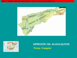 DEPRESIÓN DEL GUADALQUIVIR   Forma triangular TEMA 3: GRANDES UNIDADES MORFOESTRUCTURALES DEL RELIEVE PENINSULAR 