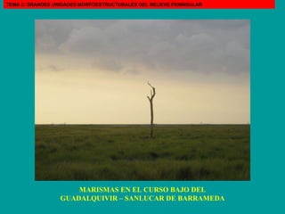MARISMAS EN EL CURSO BAJO DEL GUADALQUIVIR – SANLUCAR DE BARRAMEDA TEMA 3: GRANDES UNIDADES MORFOESTRUCTURALES DEL RELIEVE PENINSULAR 