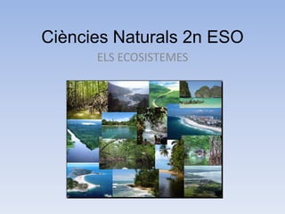 Ciències Naturals 2n ESO
ELS ECOSISTEMES

 
