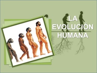 LA
EVOLUCIÓN
HUMANA
 