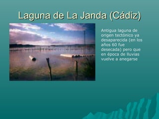 Laguna de La Janda (Cádiz)Laguna de La Janda (Cádiz)
Antigua laguna de
origen tectónico ya
desaparecida (en los
años 60 fue
desecada) pero que
en época de lluvias
vuelve a anegarse
 