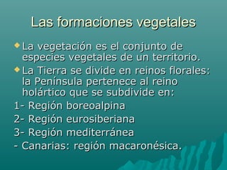 Las formaciones vegetalesLas formaciones vegetales
 La vegetación es el conjunto deLa vegetación es el conjunto de
especies vegetales de un territorio.especies vegetales de un territorio.
 La Tierra se divide en reinos florales:La Tierra se divide en reinos florales:
la Península pertenece al reinola Península pertenece al reino
holártico que se subdivide en:holártico que se subdivide en:
1- Región boreoalpina1- Región boreoalpina
2- Región eurosiberiana2- Región eurosiberiana
3- Región mediterránea3- Región mediterránea
- Canarias: región macaronésica.- Canarias: región macaronésica.
 