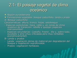 2.1- El paisaje vegetal de clima2.1- El paisaje vegetal de clima
oceánicooceánico
 Región eurosiberianaRegión eurosiberiana
 Formaciones vegetales: bosque caducifolio, landa y pradoFormaciones vegetales: bosque caducifolio, landa y prado
A- Bosque caducifolioA- Bosque caducifolio
Características: altura, tronco, hojas, sotobosqueCaracterísticas: altura, tronco, hojas, sotobosque
- Especies autóctonas: haya, roble y, en zonas de clima- Especies autóctonas: haya, roble y, en zonas de clima
oceánico de transición: rebollo y quejigo (especiesoceánico de transición: rebollo y quejigo (especies
marcescentes)marcescentes)
- Especies secundarias: Castaño, fresno , tilo y, sobre todo,Especies secundarias: Castaño, fresno , tilo y, sobre todo,
eucalipto y pino (muy criticadas pero muy rentableseucalipto y pino (muy criticadas pero muy rentables
económicamente).económicamente).
B- Landa y pradosB- Landa y prados
- Landa: vegetación densa de matorral por degradación delLanda: vegetación densa de matorral por degradación del
bosque o vegetación supraforestal.bosque o vegetación supraforestal.
- Prados: vegetación herbácea.Prados: vegetación herbácea.
 