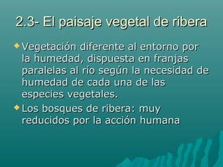 2.3- El paisaje vegetal de ribera2.3- El paisaje vegetal de ribera
 Vegetación diferente al entorno porVegetación diferente al entorno por
la humedad, dispuesta en franjasla humedad, dispuesta en franjas
paralelas al río según la necesidad deparalelas al río según la necesidad de
humedad de cada una de lashumedad de cada una de las
especies vegetales.especies vegetales.
 Los bosques de ribera: muyLos bosques de ribera: muy
reducidos por la acción humanareducidos por la acción humana
 