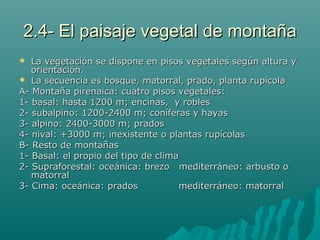 2.4- El paisaje vegetal de montaña2.4- El paisaje vegetal de montaña
 La vegetación se dispone en pisos vegetales según altura yLa vegetación se dispone en pisos vegetales según altura y
orientación.orientación.
 La secuencia es bosque, matorral, prado, planta rupícolaLa secuencia es bosque, matorral, prado, planta rupícola
A- Montaña pirenaica: cuatro pisos vegetales:A- Montaña pirenaica: cuatro pisos vegetales:
1- basal: hasta 1200 m; encinas, y robles1- basal: hasta 1200 m; encinas, y robles
2- subalpino: 1200-2400 m; coníferas y hayas2- subalpino: 1200-2400 m; coníferas y hayas
3- alpino: 2400-3000 m; prados3- alpino: 2400-3000 m; prados
4- nival: +3000 m; inexistente o plantas rupícolas4- nival: +3000 m; inexistente o plantas rupícolas
B- Resto de montañasB- Resto de montañas
1- Basal: el propio del tipo de clima1- Basal: el propio del tipo de clima
2- Supraforestal: oceánica: brezo mediterráneo: arbusto o2- Supraforestal: oceánica: brezo mediterráneo: arbusto o
matorralmatorral
3- Cima: oceánica: prados mediterráneo: matorral3- Cima: oceánica: prados mediterráneo: matorral
 