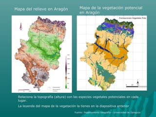 Mapa del relieve en Aragón Mapa de la vegetación potencial
en Aragón
Relaciona la topografía (altura) con las especies vegetales potenciales en cada
lugar.
La leyenda del mapa de la vegetación la tienes en la diapositiva anterior
Fuente: Departamento Geografía – Universidad de Zaragoza
 