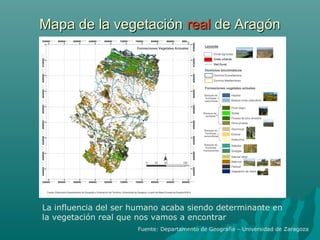 Mapa de la vegetaciónMapa de la vegetación realreal de Aragónde Aragón
La influencia del ser humano acaba siendo determinante en
la vegetación real que nos vamos a encontrar
Fuente: Departamento de Geografía – Universidad de Zaragoza
 