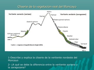 Cliserie de la vegetación real del MoncayoCliserie de la vegetación real del Moncayo
1-Describe y explica la cliserie de la vertiente nordeste del
Moncayo
2- ¿A qué se debe la diferencia entre la vertiente soriana y
la zaragozana?
 
