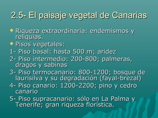 2.5- El paisaje vegetal de Canarias2.5- El paisaje vegetal de Canarias
 Riqueza extraordinaria: endemismos yRiqueza extraordinaria: endemismos y
reliquias.reliquias.
 Pisos vegetales:Pisos vegetales:
1- Piso basal: hasta 500 m; aridez1- Piso basal: hasta 500 m; aridez
2- Piso intermedio: 200-800; palmeras,2- Piso intermedio: 200-800; palmeras,
dragos y sabinasdragos y sabinas
3- Piso termocanario: 800-1200; bosque de3- Piso termocanario: 800-1200; bosque de
laurisilva y su degradación (fayal-brezal)laurisilva y su degradación (fayal-brezal)
4- Piso canario: 1200-2200; pino y cedro4- Piso canario: 1200-2200; pino y cedro
canariocanario
5- Piso supracanario: sólo en La Palma y5- Piso supracanario: sólo en La Palma y
Tenerife; gran riqueza florística.Tenerife; gran riqueza florística.
 