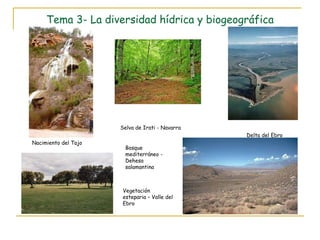 Tema 3- La diversidad hídrica y biogeográfica Nacimiento del Tajo Selva de Irati - Navarra Delta del Ebro Vegetación esteparia – Valle del Ebro Bosque mediterráneo - Dehesa salamantina 