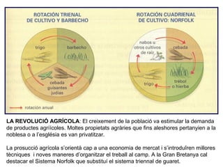 LA REVOLUCIÓ AGRÍCOLA: El creixement de la població va estimular la demanda 
de productes agríícoles. Moltes propietats agràries que fins aleshores pertanyien a la 
noblesa o a l’església es van privatitzar. 
La prosucció agrícola s’orientà cap a una economia de mercat i s’introduîren millores 
tècniques i noves maneres d’organitzar el treball al camp. A la Gran Bretanya cal 
destacar el Sistema Norfolk que substituí el sistema triennal de guaret. 
 