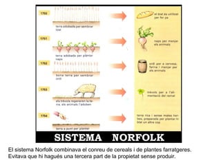 El sistema Norfolk combinava el conreu de cereals i de plantes farratgeres. 
Evitava que hi hagués una tercera part de la propietat sense produir. 
 