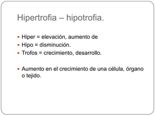 Hipertrofia – hipotrofia.

 Hiper = elevación, aumento de
 Hipo = disminución.
 Trofos = crecimiento, desarrollo.


 Aumento en el crecimiento de una célula, órgano
 o tejido.
 