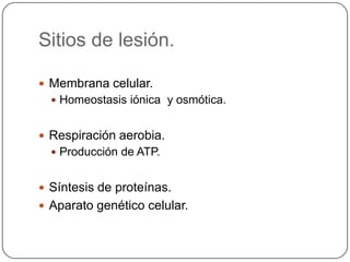Sitios de lesión.

 Membrana celular.
   Homeostasis iónica y osmótica.


 Respiración aerobia.
   Producción de ATP.


 Síntesis de proteínas.
 Aparato genético celular.
 
