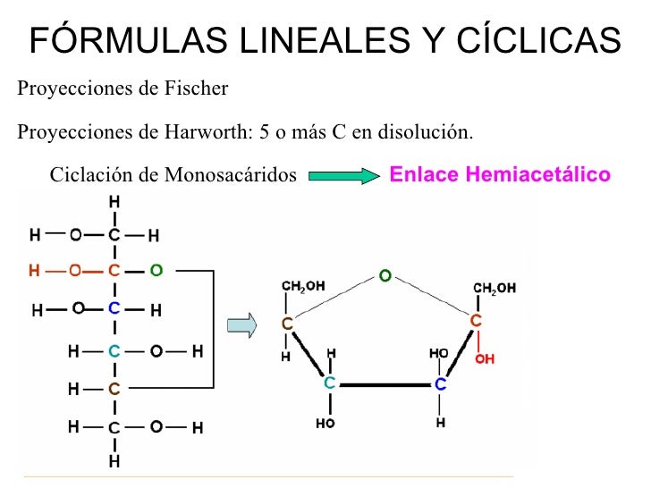 Estructura Lineal Ciclica De Los Monosacaridos 2020 idea