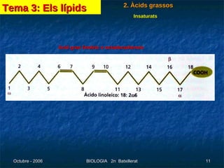 Àcid gras linoleic o octadecadienoic Tema 3: Els lípids 2. Àcids grassos Insaturats 