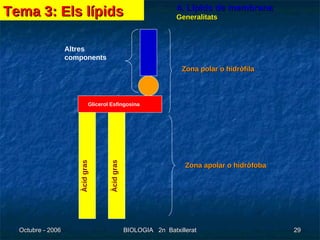 4. Lípids de membrana Glicerol Esfingosina Àcid gras Àcid gras Altres components Zona polar o hidròfila Zona apolar o hidròfoba Tema 3: Els lípids Generalitats 