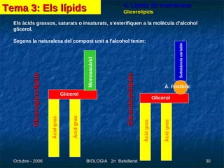 4. Lípids de membrana Glicerolípids Els àcids grassos, saturats o insaturats, s’esterifiquen a la molècula d'alcohol glicerol.  Segons la naturalesa del compost unit a l'alcohol tenim:   Glicerol Àcid gras Ácid gras Glicerol Àcid gras Àcid gras Monosacàrid À. Fosfòric Substància variable Gliceroglucolípids Glicerofosfolípids Tema 3: Els lípids 