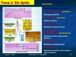 4. Lípids de membrana Glicerolípids Glicerofosfolípids o Fosfolípids . Fosfatidil etanolamina  ( Cefalina ). Membranes del RE. Fosfatidil colina  ( Lecitina ). Beina de mielina Fosfatidil serina Membranes dels eritròcits. Fosfatidil glicerol   Difosfatidil glicerol  ( Cardiolipina ). Membranes dels mitocondris i bacteris. Fosfatidil inositol Membrana citoplasmàtica. Plasmalògens Membranes del RE, teixit cardiac i alguns bacteris. Tema 3: Els lípids 