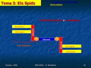 4. Lípids de membrana Glicerolípids Àcid gras Àcid gras Àcid gras Àcid gras Glicerol Glicerol Glicerol P P Difosfatidil glicerol  o  cardiolipina Àcid fosfatídic Tema 3: Els lípids 