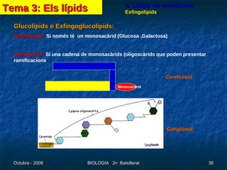 4. Lípids de membrana Esfingolípids Glucolípids o Esfingoglucolípids: Cerebròsids:  Si només té  un monosacàrid (Glucosa ,Galactosa)  Gangliòsids:  Si una cadena de monosacàrids (oligoscàrids que poden presentar ramificacions Cerebròsid Monosacàrid Gangliòsid Tema 3: Els lípids 