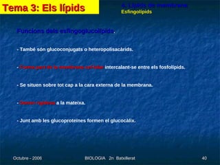 4. Lípids de membrana Esfingolípids Funcions dels esfingoglucolípids . - També són glucoconjugats o heteropolisacàrids. -  Forma part de la membrana cel·lular  intercalant-se entre els fosfolípids. - Se situen sobre tot cap a la cara externa de la membrana. -  Donen rigidesa  a la mateixa. - Junt amb les glucoproteïnes formen el glucocàlix. Tema 3: Els lípids 