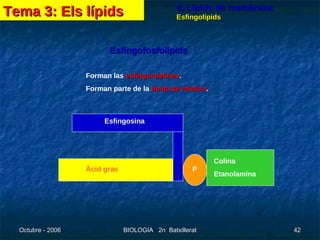 4. Lípids de membrana Esfingolípids Esfingofosfolípids Àcid gras P Colina  Etanolamina Esfingosina Forman las  esfingomielines . Forman parte de la  beina de mielina . Tema 3: Els lípids 