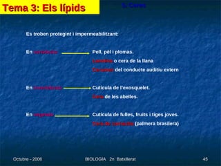 5. Ceres Es troben protegint i impermeabilitzant: En  vertebrats   Pell, pèl i plomas. Lanolina  o cera de la llana Cerumen  del conducte auditiu extern En  invertebrats Cutícula de l’exosquelet. Cera  de les abelles. En  vegetals Cutícula de fulles, fruits i tiges joves. Cera de carnauba  (palmera brasilera) Tema 3: Els lípids 