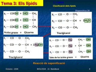 Reacció de saponificació Diapositiva 20 Tema 3: Els lípids 1. Lípids Clasificació dels lípids 