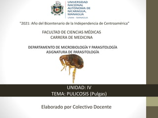 Elaborado por Colectivo Docente
UNIDAD: IV
TEMA: PULICOSIS (Pulgas)
"2021: Año del Bicentenario de la Independencia de Centroamérica”
FACULTAD DE CIENCIAS MÉDICAS
CARRERA DE MEDICINA
DEPARTAMENTO DE MICROBIOLOGÍA Y PARASITOLOGÍA
ASIGNATURA DE PARASITOLOGÍA
 