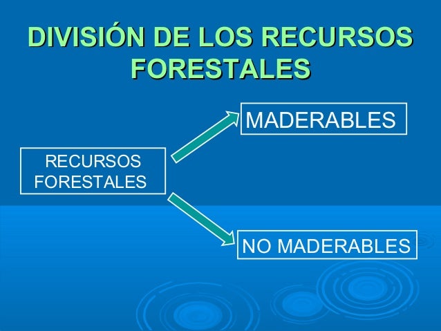 Tema 3. recursos forestales mundiales 2013