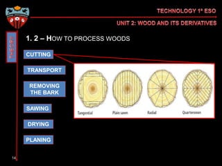 Secondary Source Process Timber UNIT 3: Wood and its derivatives | PPTX