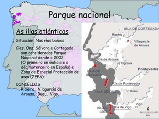 Parque nacionalAs illas atlánticasSituación: Nas rías baixasCíes, Ons, Sálvora e Cortegada son consideradas Parque Nacional dende o 2002          (O primeiro en Galicia e o décimoterceiro en España) e Zona de Especial Protección de aves (ZEPA)CONCELLOS                  Ribeira,  Vilagarcía de Arousa,  Bueu,  Vigo.Fonte: Xunta de Galicia