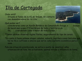 Illa de CortegadaOnde está?                                                                                              Situada al fondo de la ría de Arousa, en contacto                                      coa desembocadura do río Ulla.Qué podes ver?                                                                                        *Pode considerarse como un Xardín Botánico da Comunidade Galega; o        bosque de laurel que ocupa 2'5 hectáreas de todo o territorio da illa,       considerado como o maior de toda Europa.*Tamén pódese observar algúns fósiles, seguramente de tipo de corais.*En canto á fauna pódese atopar cabalos, xabarís, reptiles e aves limícolas que hai na illa e cultívase a ameixa que serve como sustento económico para a zona.Pola súa situación previlexiada, se estivo a punto de construir unha urbanización de luxo. Na actualidade, apenas nótase a influencia do home.