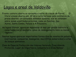 Lagoa e areal de ValdoviñoFronte costeira aberta ao noroeste e norte da cidade de Ferrol.      O litoral areoso abarca uns  10 km e caracterízase pola existencia de praias abertas con extensos sistemas dunares, que se estenden sobre zonas acantiladas próximas, como en Doniños, San Xurxo, Santa Comba, Ponzos e A Frouxeira.As lagoas litorais  aparecen separadas do mar por praias-barreira e conectadas con el mediante canos de desaugamento máis ou menos cegados.Nestas lagoas aparecen importantes formacións de vexetación palustre (carriceiras, xunqueiras, masegares, macrófitos somerxidos) e orlas de bosque pantanoso.Zona de Especial Protección dos Valores Naturais, Zona Húmida Protexida, Lugar de Importancia Comunitaria e Zona Ramsar