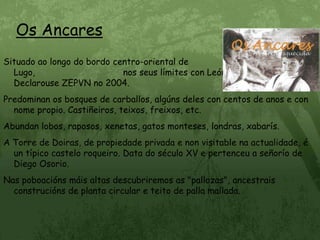 Os AncaresSituado ao longo do bordo centro-oriental de Lugo,                                 nos seus límites con León e Asturias.                                                 Declarouse ZEPVN no 2004.Predominan os bosques de carballos, algúns deles con centos de anos e con nome propio. Castiñeiros, teixos, freixos, etc.Abundan lobos, raposos, xenetas, gatos monteses, londras, xabarís.A Torre de Doiras, de propiedade privada e non visitable na actualidade, é un típico castelo roqueiro. Data do século XV e pertenceu a señorío de Diego Osorio.Nas poboacións máis altas descubriremos as "pallozas", ancestrais construcións de planta circular e teito de palla mallada.