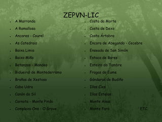 ZEPVN-LICA MarrondaA RamallosaAncares - CourelAs CatedraisBaixa LimiaBaixo MiñoBetanzos - MandeoBidueiral de MontederramoBrañas de XestosoCabo UdraCanón do SilCarnota - Monte PindoComplexo Ons - O GroveCosta da MorteCosta de DexoCosta ÁrtabraEncoro de Abegondo - CecebreEnseada de San SimónEstaca de BaresEsteiro do TambreFragas do EumeGándaras de BudiñoIllas CíesIllas EstelasMonte AloiaMonte Faro                            ETC.