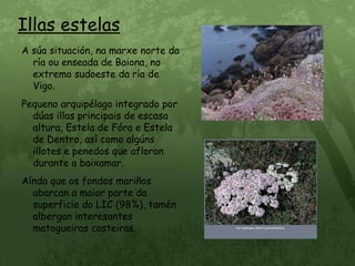 Illas estelasA súa situación, na marxe norte da ría ou enseada de Baiona, no extremo sudoeste da ría de Vigo.Pequeno arquipélago integrado por dúas illas principais de escasa altura, Estela de Fóra e Estela de Dentro, así como algúns illotes e penedos que afloran durante a baixamar.Aínda que os fondos mariños abarcan a maior parte da superficie do LIC (98%), tamén albergan interesantes matogueiras costeiras.