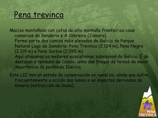 Pena trevincaMacizo montañoso con cotas de alta montaña fronteirizo coas comarcas da Senabria e A Cabreira (Zamora).                             Forma parte dos cumios máis elevados de Galicia do Parque Natural Lago de Sanabria: Pena Trevinca (2.124 m), Pena Negra (2.119 m) e Pena Surbia (2.095 m).                                             Aquí atopamos os mellores ecosistemas subalpinos de Galicia. É de destacar o teixedal de Casaio, unha das fragas de teixos de maior importancia da península Ibérica.Este LIC ten un estado de conservación en xeral bo, aínda que sofre frecuentemente a acción dos lumes e os impactos derivados da minaría (extracción de lousa).