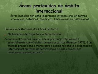 Áreas protexidas de ámbito internacionalEstos humidais ten unha importancia internacional en termos ecolóxicos, botánicos, zoolóxicos, limnolóxicos ou hidrolóxicosEn Galicia destacamos dous tipos de áreas:Os humedais de Importancia Internacional.Convenio relativo aos humidais de importancia internacional especialmente como hábitat de aves acuáticas (Ramsar, 1971), é un tratado proporciona o marco para a acción nacional e a cooperación internacional en favor da conservación e o uso racional dos humidais e os seus recursos.