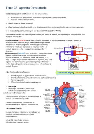 Tema 33: Aparato Circulatorio
El sistema circulatorio está formado por dos componentes:
• Cardiovascular: doble sentido, transporta sangre entre el corazón y los tejidos.
• Vascular linfático: recoge la linfa.
¿Qué es la linfa o de donde proviene?
La linfa procede del tejido intersticial, es un filtrado que contiene proteínas, glóbulos blancos, macrófagos, etc.
Es un exceso de líquido tisular recogido por los vasos linfáticos (sobras→ linfa)
El sistema circulatorio está formado por el corazón, las venas, las arterias, los capilares y los vasos linfáticos y se
divide en dos circuitos:
Circuito pulmonar (MENOR): entre el corazón y los pulmones. Su función es oxigenar la sangre y ponerla en
disposición para el circuito mayor. La sangre desoxigenada sale
del ventrículo derecho, llega a los pulmones por las arterias
pulmonares derechas e izquierdas, se oxigena y vuelve a la
aurícula izquierda por las venas pulmonares izquierdas y
derechas.
Circuito sistémico (MAYOR): entre el corazón y los demás tejidos y
órganos. Su función es irrigar todos los tejidos corporales
(aportar nutrientes, O2, hormonas, retirar metabolitos, CO2,
etc.). La sangre oxigenada sale del ventrículo izquierdo, llega a los
órganos por la arteria aorta aportando oxígeno y nutrientes, y
vuelve al corazón por las venas cavas superior e inferior hasta la
aurícula derecha.
¿Qué funciones tienen el sistema?
• Distribuir gases (O2) y moléculas para la nutrición.
• Distribuir hormonas y neurotransmisores (señalización celular)
• Termorregulación
• Mecanismo de defensa contra patógenos
1. CORAZÓN
1. Morfología y estructura del corazón
válvula tricúspide se encuentra entre la
aurícula y el ventrículo derecho.
La válvula miral o bicúspide se encuentra entre la
aurícula y el ventrículo izquierdo.
Las válvulas sigmoideas o semilunares se
encuentran entre las arterias y los ventrículos.
1.2 Capas del corazón
Endocardio, la capa más interna formada por un
endotelio y un subendotelio con células
musculares lisas.
Miocardio, músculo del corazón.
Epicardio, capa visceral o serosa.
 