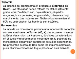Trisomía
 La trisomía del cromosoma 21 produce el síndrome de
 Down. Los afectados tienen retardo mental en diferente
 grado, corazón defectuoso, baja estatura, párpados
 rasgados, boca pequeña, lengua salida, cráneo ancho y
 marcha lenta. Las mujeres son fértiles y los transmiten al
 50% de su progenie; los hombres son estériles.
Monosomías.
 La falta de un cromosoma produce una monosomía conocida
 como el síndrome de Turner (45, X) que ocurre en mujeres
 quiénes desarrollan baja estatura, dobleces característicos
 en el cuello y retardo mental moderado. En la pubertad no
 menstrúan ni desarrollan caracteres sexuales secundarios.
 No presentan cuerpo de Barr como las mujeres normales,
 pues el único cromosoma X que presentan está activado.
 
