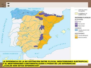 LA DIFERENCIA ES LA NO DISTINCIÓN ENTRE PLUVIAL MEDITERRÁNEO SUBTROPICAL
Y EL MEDITERRÁNEO CONTINENTALIZADO A PESAR DE LAS DIFERENCIAS
¿CUÁLES SON ESTAS DIFERENCIAS?
 