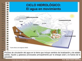 Fuente: Banco de imágenes CNICE
Proceso de circulación del agua en la tierra que incluye cambios de localización y de estado
(sólido, líquido y gaseoso) provocados principalmente por la energía solar y la fuerza de la
gravedad.
CICLO HIDROLÓGICO:
El agua en movimiento
Prof. ISAAC BUZO SÁNCHEZ
Fuente: Banco de Imágenes CNICE
 