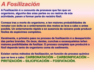 A Fosilización é o conxunto de procesos que fan que un
organismo, algunha das súas partes ou os rastros da súa
actividade, pasen a formar parte do rexistro fósil.

Comeza tras a morte do organismo, e ten maiores probabilidades de
rematar con éxito se o enterramento dos restos se leva a cabo o antes
posible. Un enterramento rápido e en ausencia de osíxeno pode producir
fósiles de espécimes completos.

Xeralmente, o primeiro paso no proceso de fosilización é a desaparición
das partes brandas. Os ósos, dentes, cunchas e exoesqueletos teñen
maiores posibilidades de fosilizar. O proceso completo que producirá o
fósil depende tanto do organismo coma do sedimento.

Existen varios métodos de fosilización, en función do proceso químico
que se leve a cabo: CARBONATACIÓN – CARBONIFICACIÓN –
PIRITIZACIÓN – SILICIFICACIÓN – FOSFATACIÓN.
 